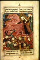 Photograph of: Israel Museum Shāhin's Musā-Nāmeh : Fol. 159.