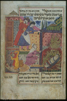 Photograph of: Israel Museum Shāhin's Musā-Nāmeh : Fol. 12.