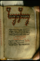 Photograph of: Tiny Ashkenazi Mahzor : Fol. 135v.