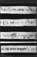 Photograph of: Wimple (Torah binder).