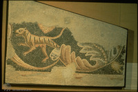 Photograph of: Japhia synagogue : The westernmost panel of the nave,the space around the large outer circle.