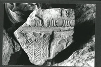 Photograph of: Tomb of the Kings.