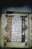 Photograph of: Brother Haggadah : Fol. 15.