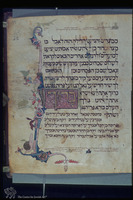 Photograph of: Rylands Sephardi Haggadah : Fol. 33.