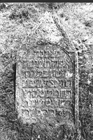 Photograph of: Jewish cemetery in Tovste (Tłuste) : Tombstone.