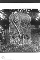 Photograph of: Jewish cemetery in Tovste (Tłuste) : Tombstone.