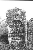 Photograph of: Jewish cemetery in Tovste (Tłuste) : Tombstone.