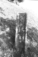 Photograph of: Jewish cemetery in Tovste (Tłuste) : Tombstone.