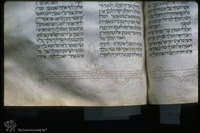Photograph of: Copenhagen Catalan Bible : Fol. 205.