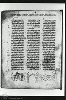 Photograph of: Elia ben Berechiah Pentateuch : Fol. 33.