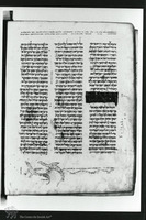 Photograph of: Elia ben Berechiah Pentateuch : Fol. 73v.