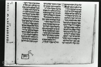 Photograph of: Elia ben Berechiah Pentateuch : Fol. 279v.
