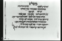 Photograph of: Vatican Catalan Mahzor : Fol. 31v.