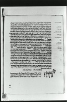 Photograph of: Vatican Sefer ha-Shorashim : Fol. 80v.