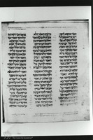 Photograph of: Vatican Early Pentateuch : Fol. 31v.