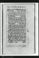 Photograph of: Vatican Italain Prophets : Fol. 42av.