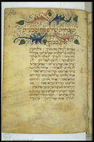 Photograph of: Modena Mahzor : Fol. 170.