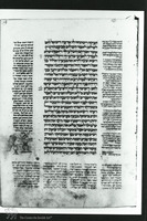 Photograph of: Vatican Ashkenazi Liturgical Pentateuch : Fol. 59.