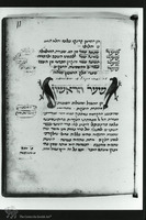 Photograph of: Vatican Medical Miscellany : Fol. 11.
