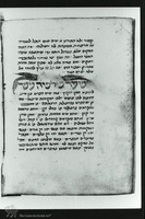 Photograph of: Vatican Medical Miscellany : Fol. 38v.