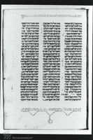 Photograph of: Samuel Ibn Musa Vatican Bible : Fol. 24.