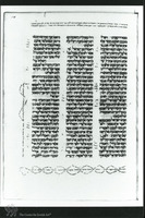 Photograph of: Samuel Ibn Musa Vatican Bible : Fol. 134.