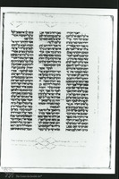 Photograph of: Samuel Ibn Musa Vatican Bible : Fol. 248v.