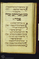 Photograph of: Levin Haggada : Fol. 28v.