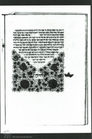 Photograph of: Halfan Vatican Pentateuch : Fol. 78v.