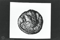 Photograph of: Coins of Agrippa I : Obverse.