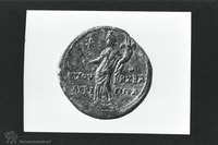 Photograph of: Coins of Agrippa II : Reverse.