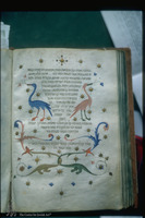 Photograph of: Copenhagen Moreh Nevukhim : Fol. 112v.