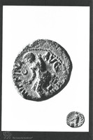 Photograph of: Coins of Agrippa II : Obverse.
