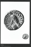 Photograph of: Coins of Agrippa II : Reverse.