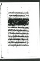 Photograph of: Vatican Aristotle's Treatises : Fol. 66v.
