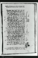 Photograph of: Italian Pentateuch : Fol. 31v.