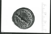 Photograph of: Judea Capta coins.