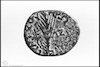 Photograph of: Coins of Herod Antipas : Obverse: Palm branch;(Reverse: Wreath with an inscription).