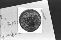 Photograph of: Coins of Agrippa II : Obverse.