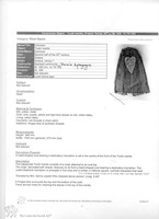 Photograph of: Torah mantle : Description.