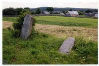 Photograph of: Jewish cemetery in Zhuprany.