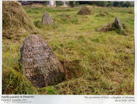 Photograph of: Jewish cemetery in Zhuprany : Tombstone of Esther daughter of Avraham.