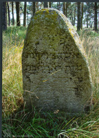 Photograph of: Jewish cemetery in Rakov.