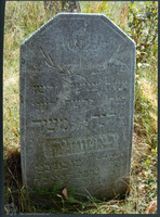 Photograph of: Jewish cemetery in Rakov.