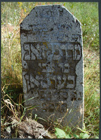 Photograph of: Jewish cemetery in Rakov.