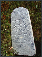 Photograph of: Jewish cemetery in Rakov.