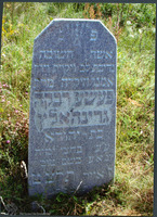 Photograph of: Jewish cemetery in Rakov.