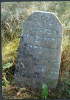 Photograph of: Jewish cemetery in Rakov.