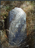 Photograph of: Jewish cemetery in Rakov.