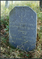 Photograph of: Jewish cemetery in Rakov.